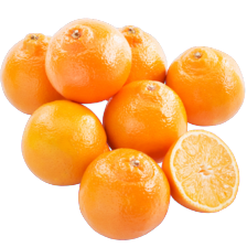 Minneola